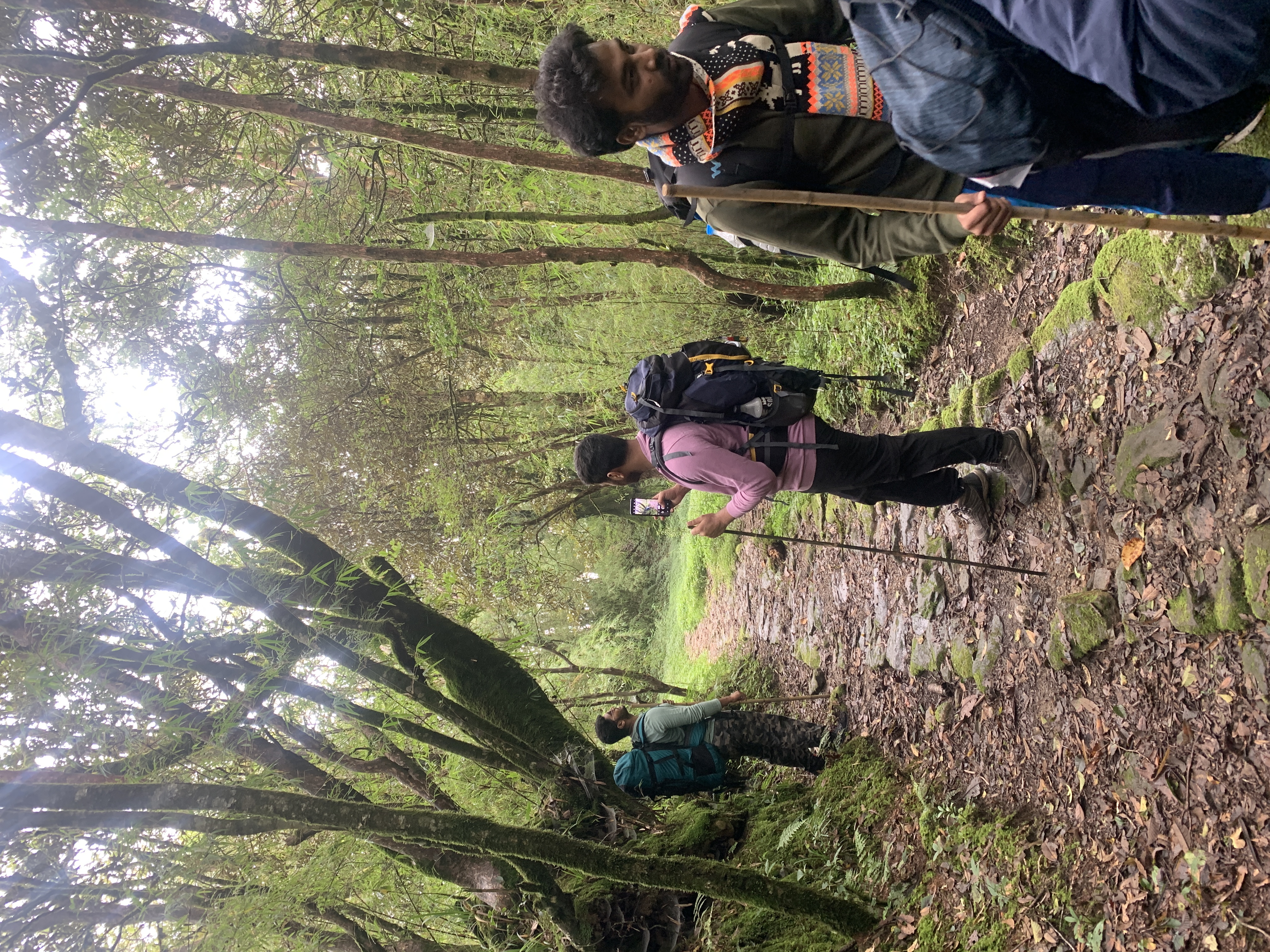 Tonglu Day Hike